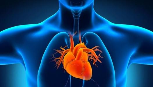 1594785909505143.jpg u=238454326,1996101711&fm=26&gp=0.jpg